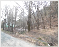  2025Ÿ��30998 ���� ���ȱ� ��õ�� �־縮 66-1      ����(��1)���