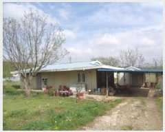  2025Ÿ��31123  ���ð��