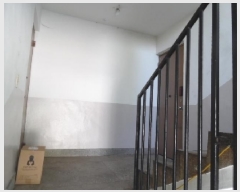  2025Ÿ��31165 ���� ���ֽ� �ϻ걸 ȿ�ڵ�1�� 358-13 ���̵� 1��102ȣ    �ټ���,������