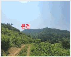  2025Ÿ31263  ȱ õ  17-11      (Ӿ)