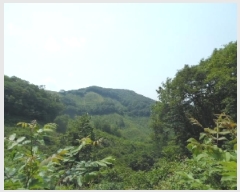  2025Ÿ31263  ȱ õ  17-11      (Ӿ)