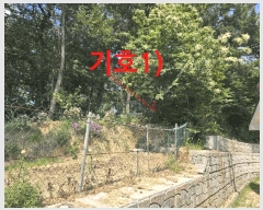  2025Ÿ��31267 ���� ���ֽ� �ϻ걸 �󸲵� ��185      ����(�Ӿ�)���