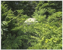  2025Ÿ��31267 ���� ���ֽ� �ϻ걸 �󸲵� ��185      ����(�Ӿ�)���