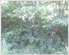  2025Ÿ��31267 ���� ���ֽ� �ϻ걸 �󸲵� ��185      ����(�Ӿ�)���