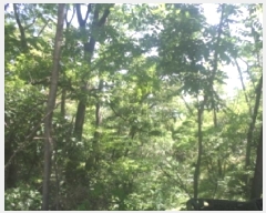  2025Ÿ��31267 ���� ���ֽ� �ϻ걸 �󸲵� ��185      ����(�Ӿ�)���