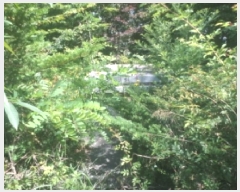  2025Ÿ��31267 ���� ���ֽ� �ϻ걸 �󸲵� ��185      ����(�Ӿ�)���