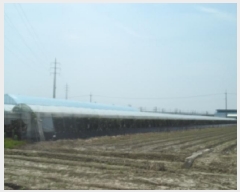  2025Ÿ��31351 ���� ������ �鱸�� ������ 615-3      ����(��)���
