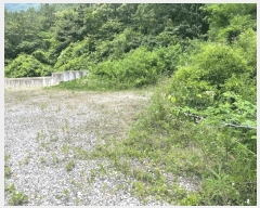  2025Ÿ��31374 ���� ���ֱ� ����� �׸��� ��187      ����(�Ӿ�)���