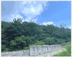  2025Ÿ��31374 ���� ���ֱ� ����� �׸��� ��187      ����(�Ӿ�)���