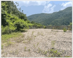  2025Ÿ��31374 ���� ���ֱ� ����� �׸��� ��187      ����(�Ӿ�)���