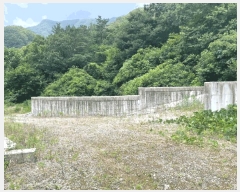  2025Ÿ��31374 ���� ���ֱ� ����� �׸��� ��187      ����(�Ӿ�)���