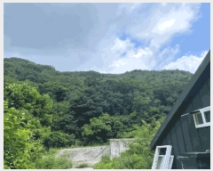  2025Ÿ��31374 ���� ���ֱ� ����� �׸��� ��187      ����(�Ӿ�)���