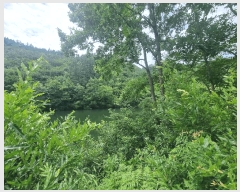  2025Ÿ��31540 ���� ���ȱ� �α͸� ������ ��111-1      ����(�Ӿ�)���