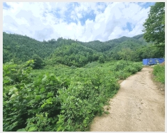  2025Ÿ��31540 ���� ���ȱ� �α͸� ������ ��111-1      ����(�Ӿ�)���