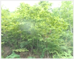  2025Ÿ��31540 ���� ���ȱ� �α͸� ������ ��111-1      ����(�Ӿ�)���