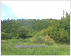  2025Ÿ��31540 ���� ���ȱ� �α͸� ������ ��111-1      ����(�Ӿ�)���