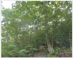  2025Ÿ��31540 ���� ���ȱ� �α͸� ������ ��111-1      ����(�Ӿ�)���