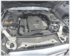  2025Ÿ��31763  �������