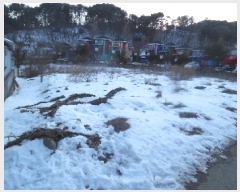  2025Ÿ��532  ����