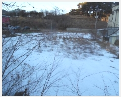  2025Ÿ��532  ����