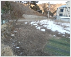  2025Ÿ��532  ����