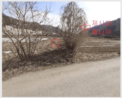  2025Ÿ558  ֱ  ׸ 365-7      (1)