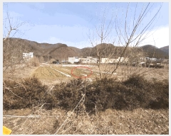  2025Ÿ558  ֱ  ׸ 365-7      (1)