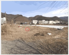  2025Ÿ558  ֱ  ׸ 365-7      (1)