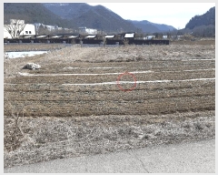  2025Ÿ558  ֱ  ׸ 365-7      (1)