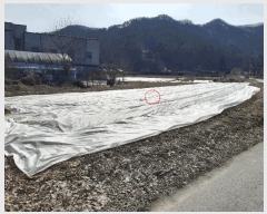  2025Ÿ558  ֱ  ׸ 365-7      (1)