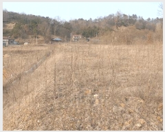  2025Ÿ��579 ���� ���ֱ� ������ ���︮ 10-5      ����(�Ӿ�)���