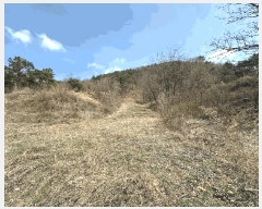  2025Ÿ586  ֽ ϻ걸 뼺 246      ()