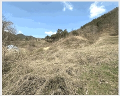  2025Ÿ586  ֽ ϻ걸 뼺 246      ()