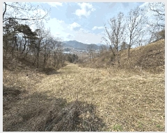  2025Ÿ586  ֽ ϻ걸 뼺 246      ()