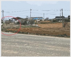  2025Ÿ622    ۻ긮 441      (1)