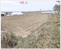  2025Ÿ622    ۻ긮 441      (1)