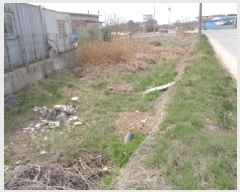  2025Ÿ622    ۻ긮 441      (1)