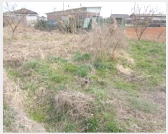  2025Ÿ622    ۻ긮 441      (1)