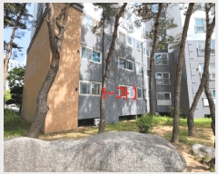  2025Ÿ674  ֽ  õ1 308-1 õƮũ 203 1 106ȣ  Ʈ