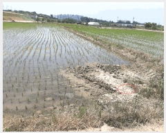  2025Ÿ��745 ���� ���ֱ� �̼��� ������ 315-4      ����(��)���