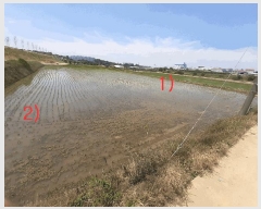  2025Ÿ��745 ���� ���ֱ� �̼��� ������ 315-4      ����(��)���