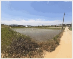  2025Ÿ��745 ���� ���ֱ� �̼��� ������ 315-4      ����(��)���