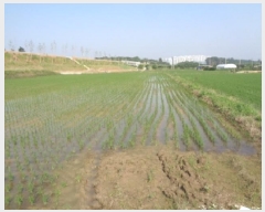  2025Ÿ��745 ���� ���ֱ� �̼��� ������ 315-4      ����(��)���