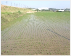  2025Ÿ��745 ���� ���ֱ� �̼��� ������ 315-4      ����(��)���