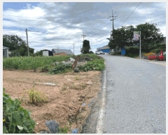  2025Ÿ780    Ÿ 532-7      (1)