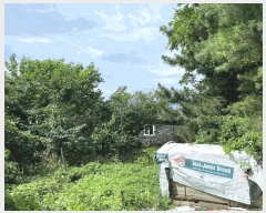  2025Ÿ780    Ÿ 532-7      (1)