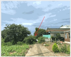  2025Ÿ780    Ÿ 532-7      (1)