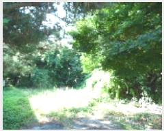  2025Ÿ780    Ÿ 532-7      (1)