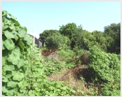  2025Ÿ780    Ÿ 532-7      (1)