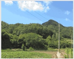  2025Ÿ786  ӽǱ Ŵ 渮 1085      (Ӿ)